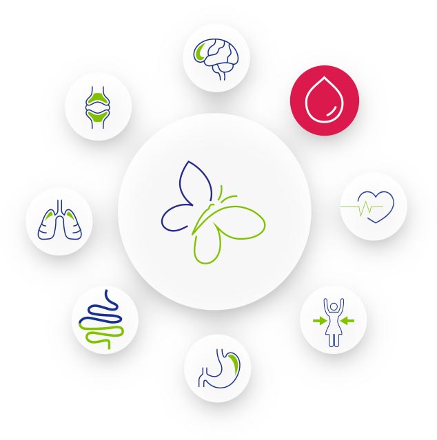 Metabolic Balance Intelligent Life